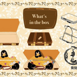 What‘s in the box