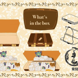 What‘s in the box